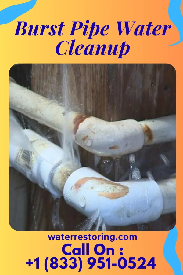 Burst Pipe Water Cleanup in Greenfield, MO
